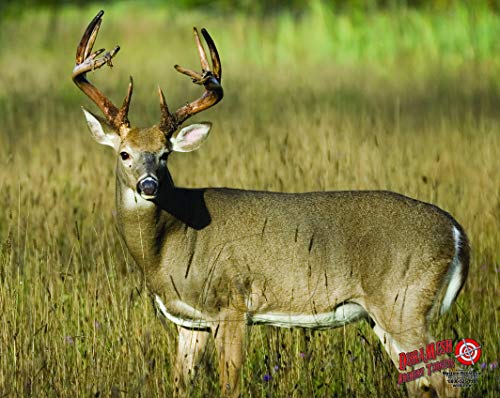 Easton Tuff Cube ™ Archery Target