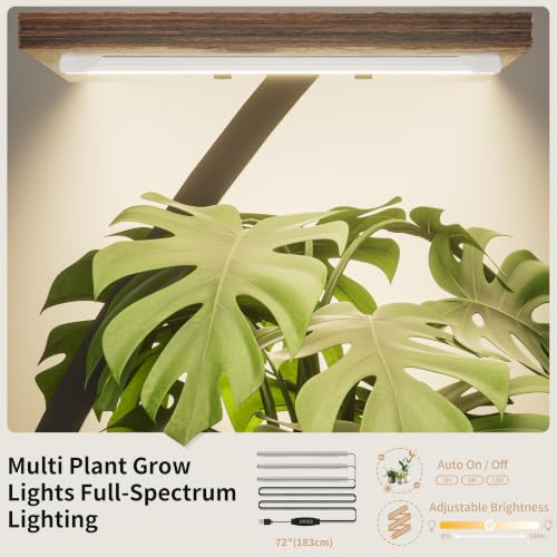 BACEKOLL Pflanzenständer mit Wachstumslicht - 8 Ebenen Blumenständer 126cm Metall Holz Pflanzenregal - Innen & Außen Blumentreppe… – Ansicht 2