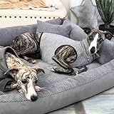 4L Textil Hundebett große Hunde Grau Hundebett abwaschbar Hundekorb große Hunde Hundekissen XL Hundekörbchen flauschig Hundesofa (120x100 cm, Dunkelgrau)