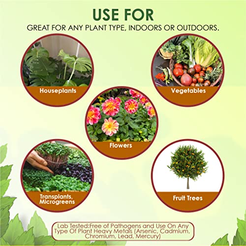 VermisTerra vermicompost orgánico 5 lb polvo miniatura 5