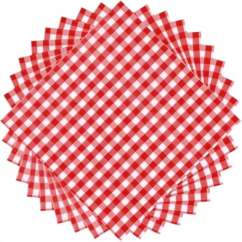 50 Red Gingham Disposable Paper Napkins Cover