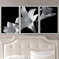 3 Piece Framed Canvas Wall Art Black and White Botanical Canvas Prints Home Artwork Decoration for Living Room,Bedroom - 16