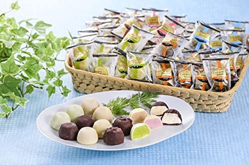 Amazon.co.jp: チョコアイスボール ランペボヌール 30粒入り(5種×6粒