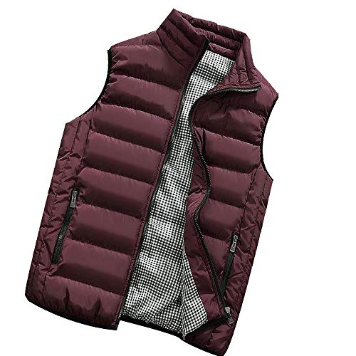 Générique 2024- Kerstmis Heren Herfst Winter Jas Gewatteerde Katoen Vest Warm Dikke Capuchon Vest Tops Stadion Jas Man Jas