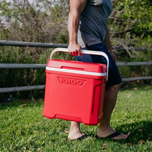 Image of Igloo Hard Cooler | Profile Series | Insulated Ice Chests