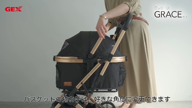 Amazon | ジェックス OSOTO GRACE(グレース) RCII シュクレ バギー