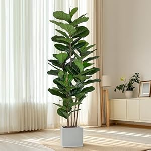 Fauxfiddleleaffigtree6ftartificialficustreewithtallartificialplants69fiddleleavesgreenerylifelikefaketreeforhomedecorlivingroomindooroutdoor Urban Country Home Decor Faux fiddle leaf fig tree 6 ft artificial ficus tree with tall artificial plants 69 fiddle leaves greenery lifelike fake tree for home decor living room indoor outdoor urban country home decor