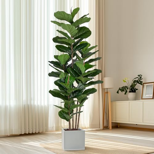 Fauxfiddleleaffigtree6ftartificialficustreewithtallartificialplants69fiddleleavesgreenerylifelikefaketreeforhomedecorlivingroomindooroutdoor Urban Country Home Decor Faux fiddle leaf fig tree 6 ft artificial ficus tree with tall artificial plants 69 fiddle leaves greenery lifelike fake tree for home decor living room indoor outdoor urban country home decor