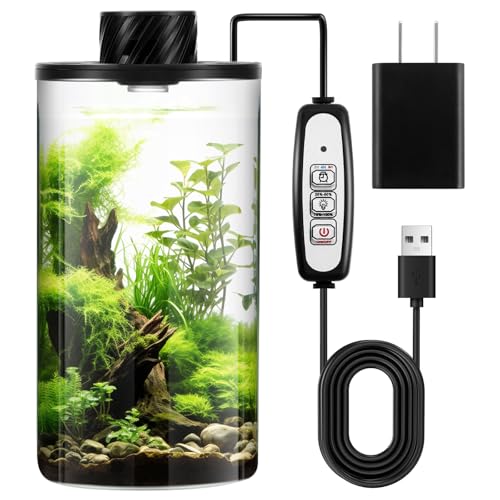 Small Glass Terrarium For Bonsai Tree