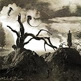 Les lucioles de minuit