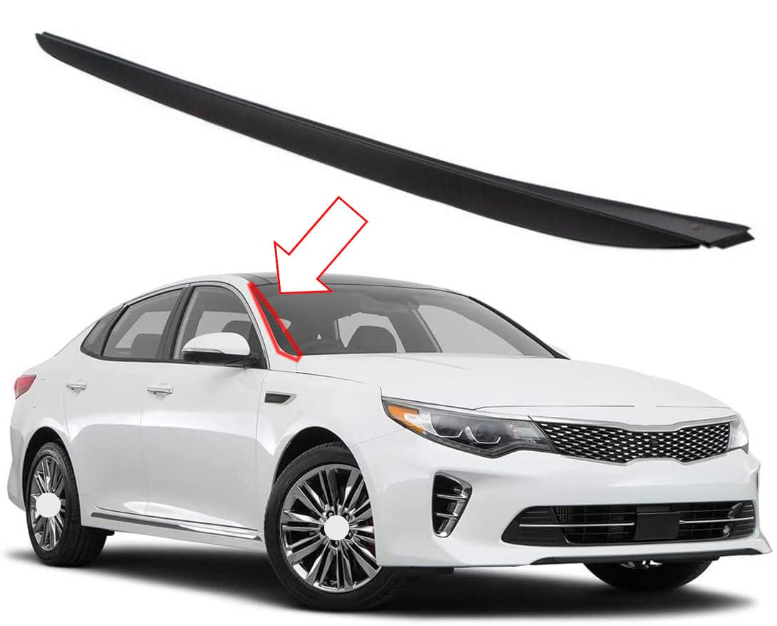 Amazon.com: Genuine OEM 86132-D4000 Pillar Molding - Windshield