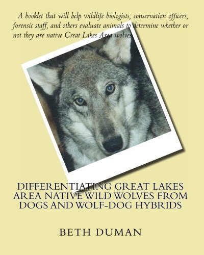 What does a wolf dog look like