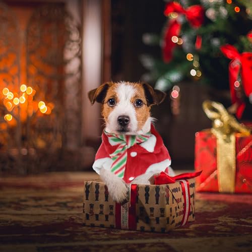 Disfraz de perro Christmas con bufanda y cuernos rojo XXL miniatura 4