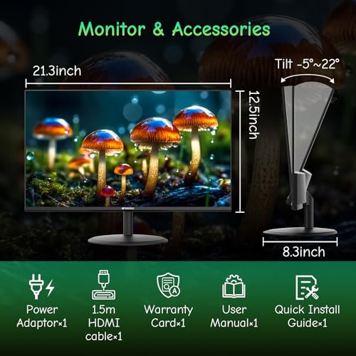 SANSUI Computer Monitor 24 inch IPS Eye Care 1080P Display ES-24X5AL の商品画像 6