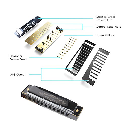 Mugig Harmonica, C Key Harmonica for Beginners or Kids, 10 Holes 20 Tones, 1.2mm Plate Structure, Stainless Steel Cover, with Carry Box, Black (Standard)