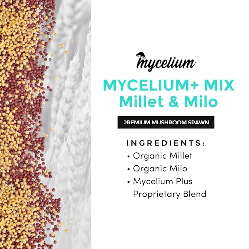 Mycelium Plus Mix de Granos para Cultivo de Hongos 5lbs miniatura 5