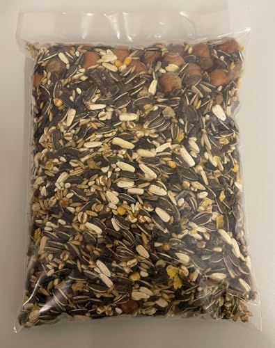 Canifee - Eichhörnchen Futter 0.9 kg Mini-Nachfüllpack artgerechtes Wildtierfutter ganzjährige Futtermischung - Nachfüllbeutel mit der extra Portion Haselnüsse - auch für Streifenhörnchen