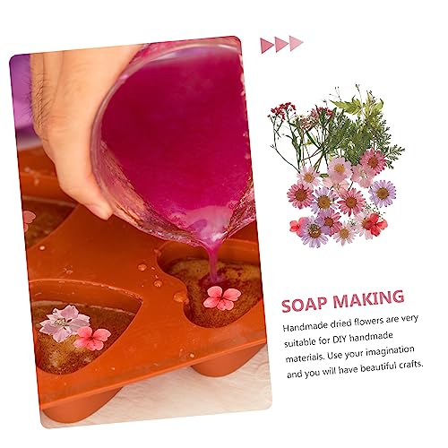 Flores secas naturales para manualidades DIY miniatura 3