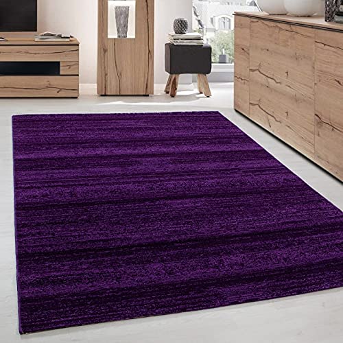 Tapis moderne de salon violet 120x170 cm aux finitions soignées et durables