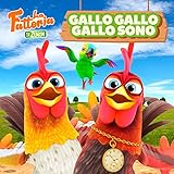 sonido gallo mp3  Gallo Gallo Gallo SONO
