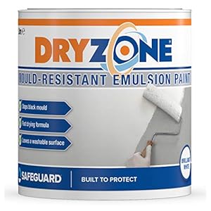 Dryzone Anti Mould Paint 1L Brilliant White Emulsion – Mould Resistant for 5 Years, 10m² – 12m² Coverage