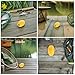 Luxshiny 8pcs Kayak Anchor Float and Marine Buoy Marker Set, Yellow Sturdy Dock Floats for Boat Fishing and Water Trail Stabilizer