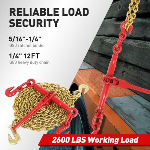 Image of FAHKNS 2 Pack 1 /4 inch-5 /16 inch Ratchet Binder with Chains Kit, G80 Chains 1 /4 inch x 12 FT-3150 lbs Safety Load Limit Heavy Duty Transportation