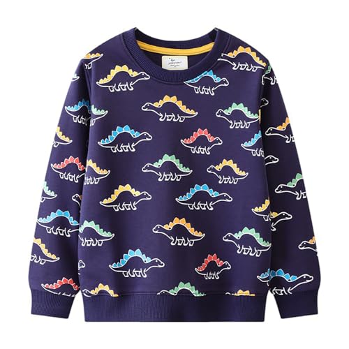 Boys Sweatshirts Casual Sweatshirts Cotton Sweatshirts Long Sleeve T-shirts Crew Neck Cartoon Tops for Boys-666