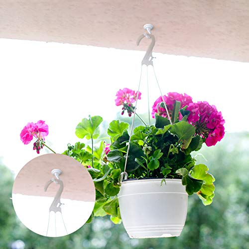 The Best Ceiling Hooks for Hanging Plants Flowers & Garden