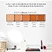 Graftobian HD Glamour Crème Foundation Palette (Warm #3) - High Definition 5 Color Makeup Palette, Cream Based Foundation Concealer and Contour Palette, Full Coverage - Medium/Dark Warm Skin Shades