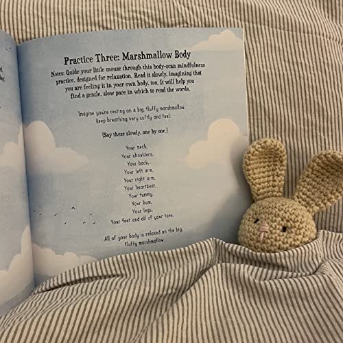 Bedtime, Little Mouse