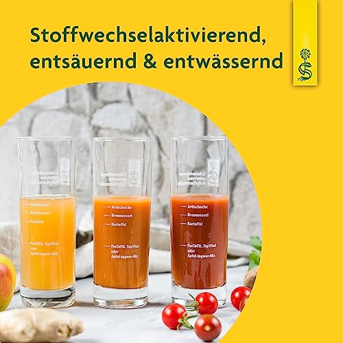 Schoenenberger - Schlankheits-Kur Fruchtig - 1 Set mit Möhre-Apfel-Mango-Mix, plus Artischockensaft, Brennnesselsaft, Kartoffelsaft - gesundes Ernährungskonzept zum Abnehmen - Kur für 10 Tage - bio