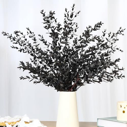Dried Eucalyptus Leaves Stems Real Preserved Fresh Eucalyptus Plant for Shower Small Dried Willow Branches Bundle for Wedding Wreath Party Home Fragrance Vase Bathroom Decor (Black 3oz)