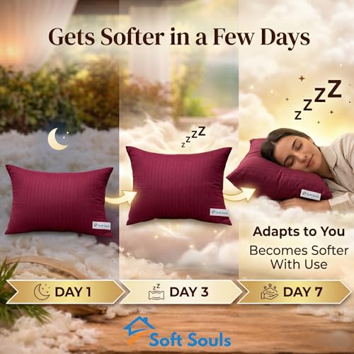 Image of SOFT SOULS 100% Cotton Pillow for Sleeping, Pure Kapok /Ilvam Panju Pillow, Premium Organic Silk Kapok Filling Pillow for Hair & Neck Pain Relief, Semal Cotton for Back Pain (Single)