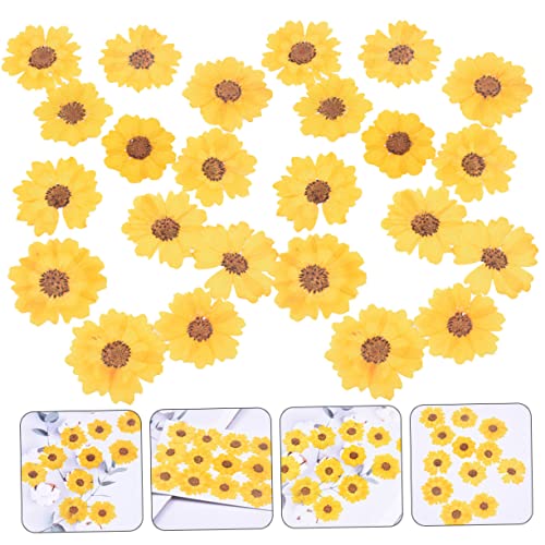 24 flores secas prensadas naturales para manualidades miniatura 6
