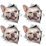 Photo Gallery 4pcs adesivo per auto testa di cane carino, adesivi per cani da parete 3d decalcomanie per auto in vinile adesivo per auto occlusione graffio per auto per auto, finestra, murale, porta Photo Gallery 4pcs adesivo per auto testa di cane carino, adesivi per cani da parete 3d decalcomanie per auto in vinile adesivo per auto occlusione graffio per auto per auto, finestra, murale, porta