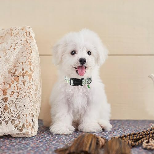 ARING PET Hundehalsband, Hundehalsband mit Grünen Dinosauriern Bedruckt, Niedliches Halsband aus Baumwolle mit Schnellverschluss aus Kunststoffschnalle für Jungen und Mädchen Hunde
