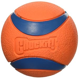 Chuck it Ultra Ball, Large/Grande, Orange (2 Pack)