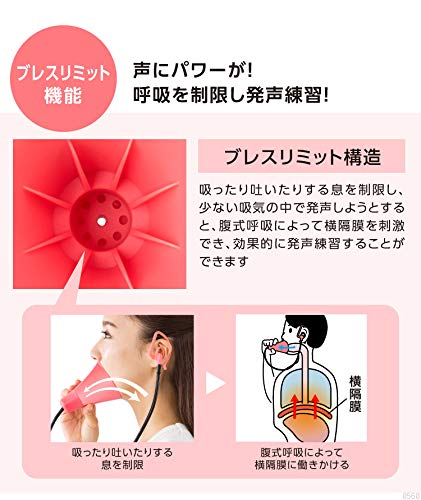 お家でカラオケ 必要な防音マイクとスマホアプリを教えるよー ひきこもりだいすき