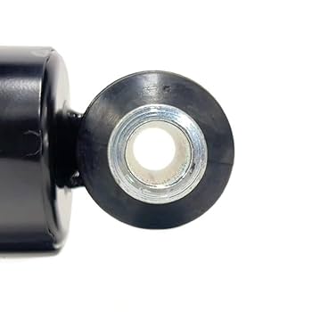 Amazon.com: Fortpro Shock Absorber for Mack CHN/CHU/CX/CXN