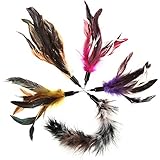 Replacement Feathers 5 Pack, Plus Bonus Soft Furry Tail For Interactive Cat and Kitten Toy Wands, Natural Feathers