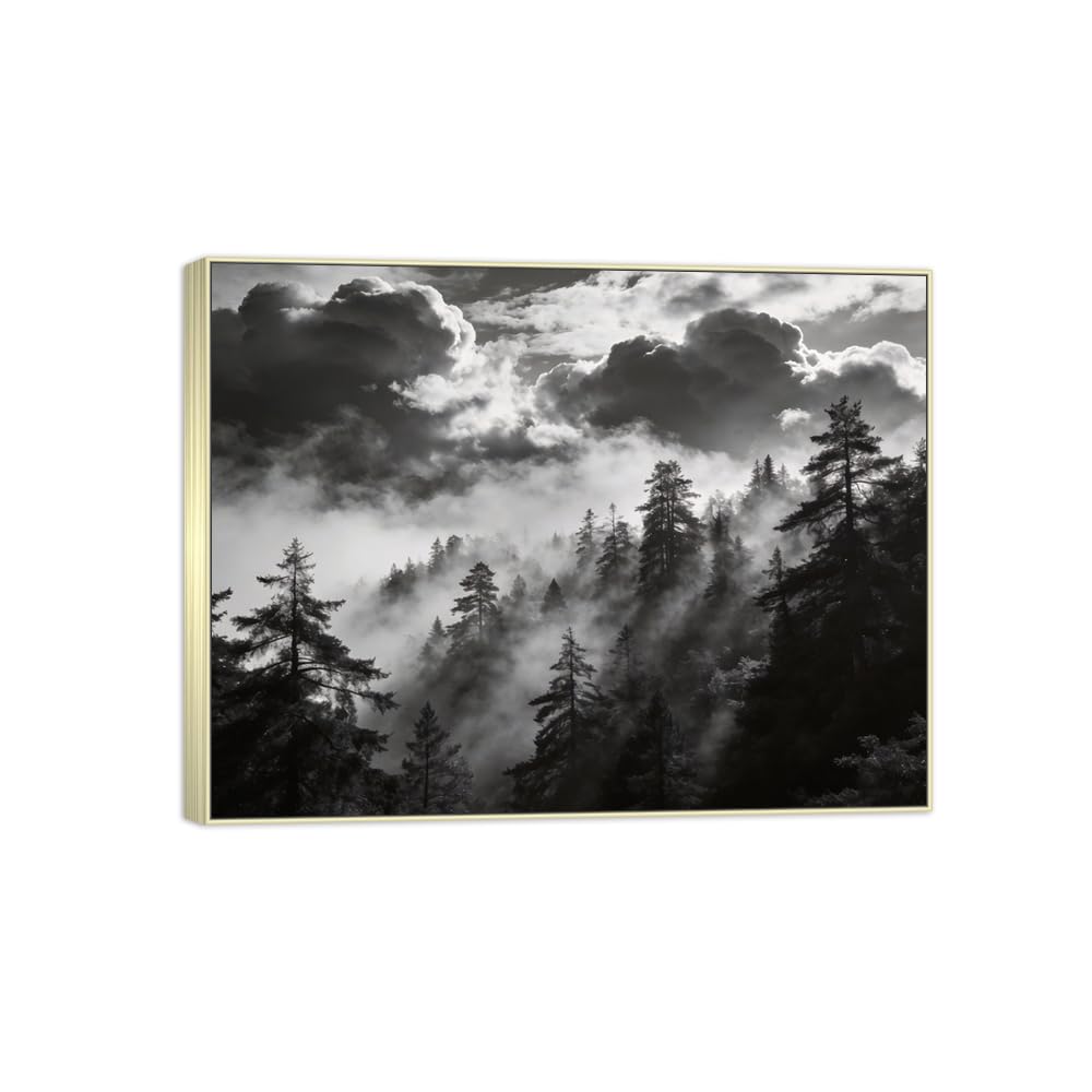 Tree Clouds Black White Landscape Canvas Picture 90x117cm Silver Frame
