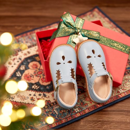 Image of GINFIVE Toddler Girls Dress Shoes Little Kids Flats School Mary Janes Shoes