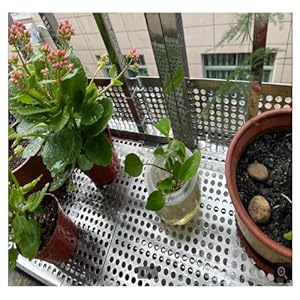 Blacha Perforowana Stal Nierdzewna 304 Generic