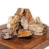 Amtra – Roccia Petrified, decorazione per acquario, naturale, non calcarea, 1 KG