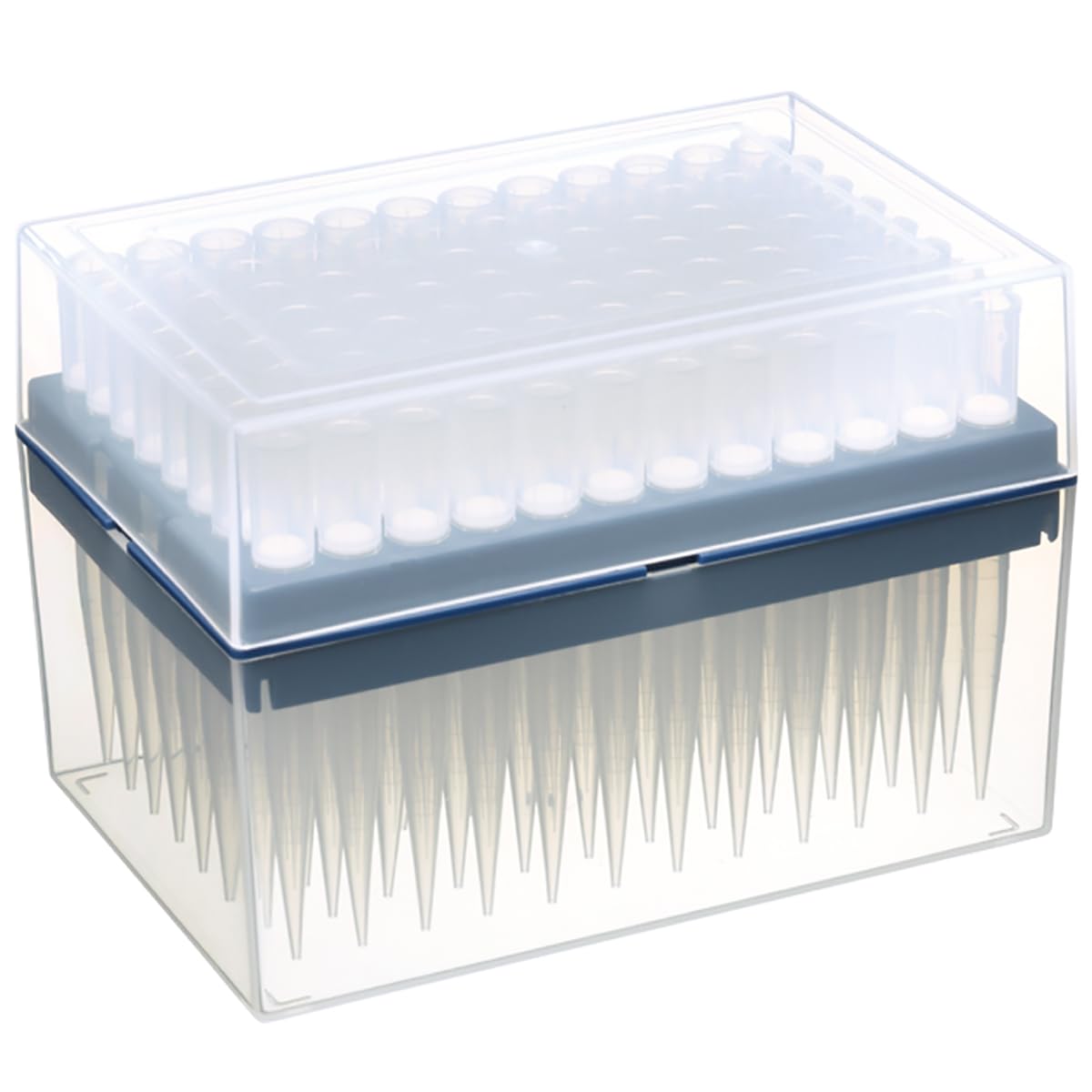 Watson Bio Lab 124P-1000S Filter Tip, System Rack (PP), Sterilized, 1000ul, 10 x 96tips/Rack (Pack of 960)