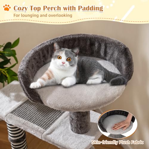 Árbol para gatos pequeño de 37 pulgadas para gatos mayores miniatura 3