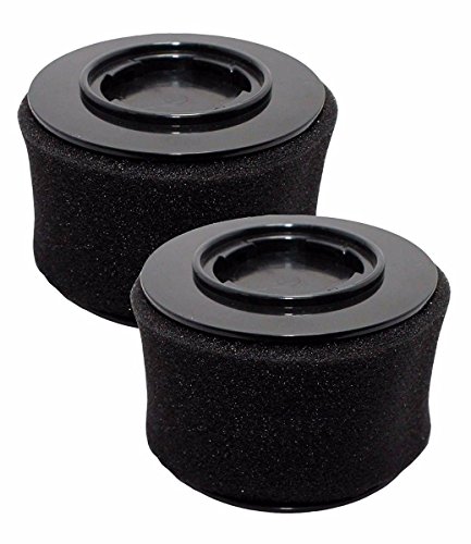 2 Pack Replacement for Bissell 81l2w Filter Bissell 81l2A Filter Bissell 54a2 Filter Bissell PowerEdge Hard Floor Stick Vac 81L2 81L22 81L28 81L2T Pet Hardfloor Vac 81L2A Hard Floor Expert Stick Vac