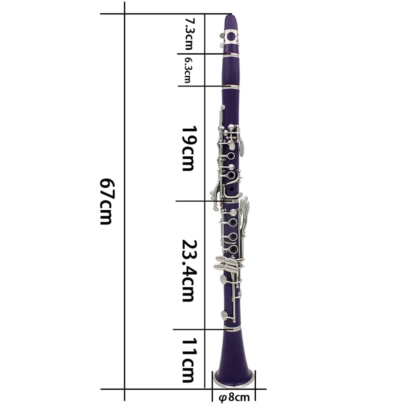 Clarinetto In Sib A Colori 17 Tasti 6 Anelli Pratica Di Gioco Del Clarinetto Per Amanti Della Musica/principianti(Sky blue)