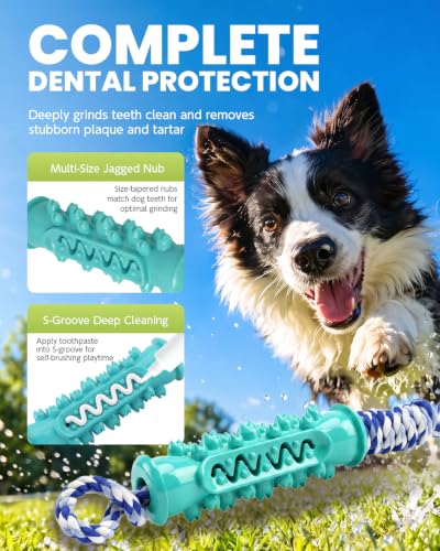 Dog Chew Toys for Medium Large Dogs, Toothbrush Toy with Rope - image 3